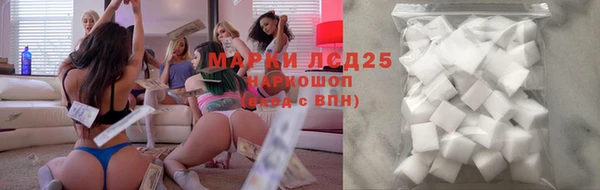 молекула духа Дмитриев
