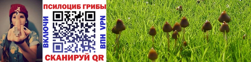 Купить где  Домодедово  Галлюциногенные грибы MAGIC MUSHROOMS 